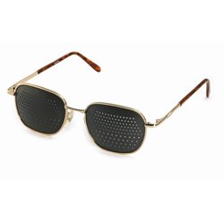 Metal pinhole glasses 420-EGB, bifocal pattern